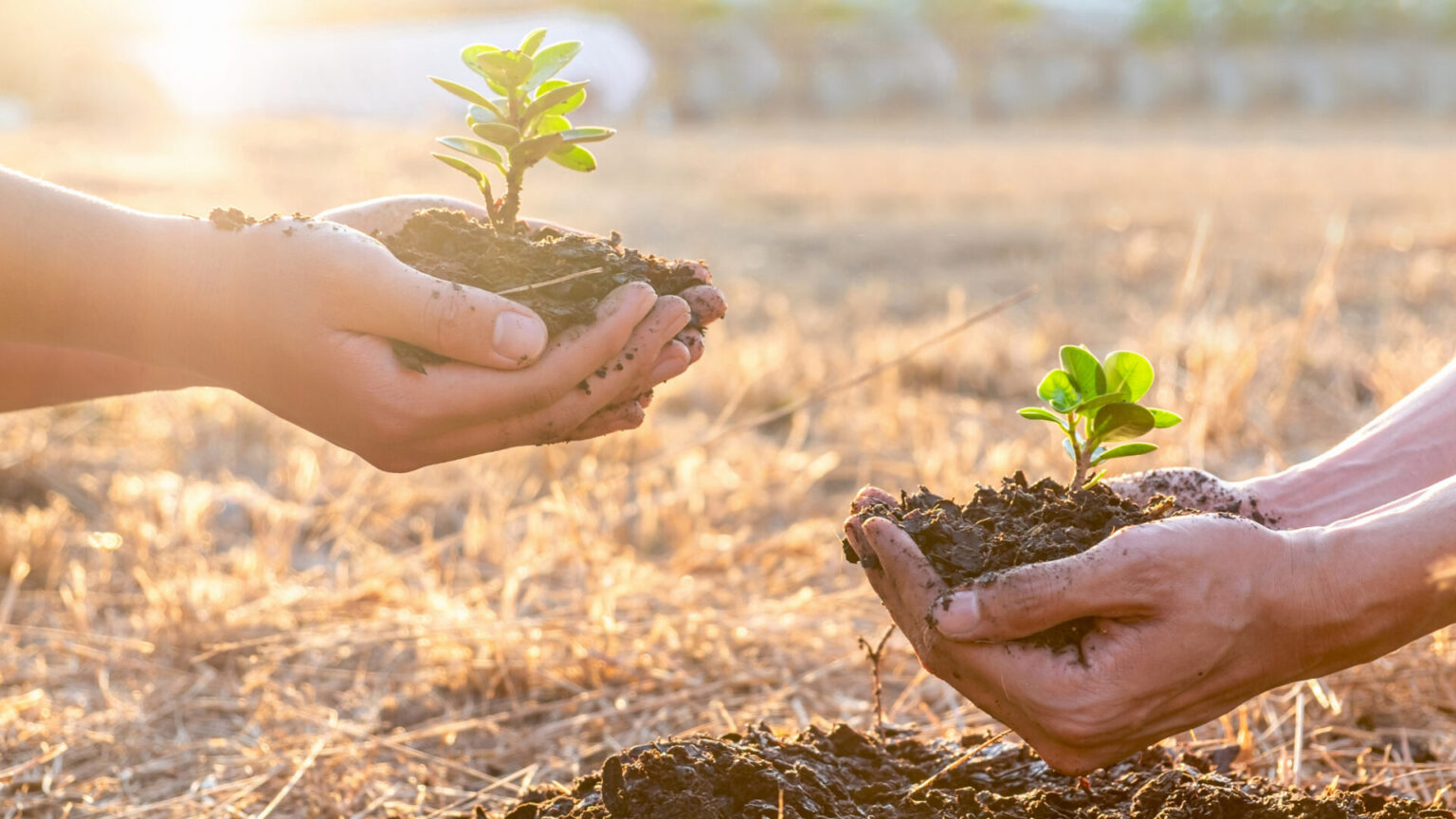 Preservação do Meio Ambiente: Desafios e Soluções para um Futuro ...